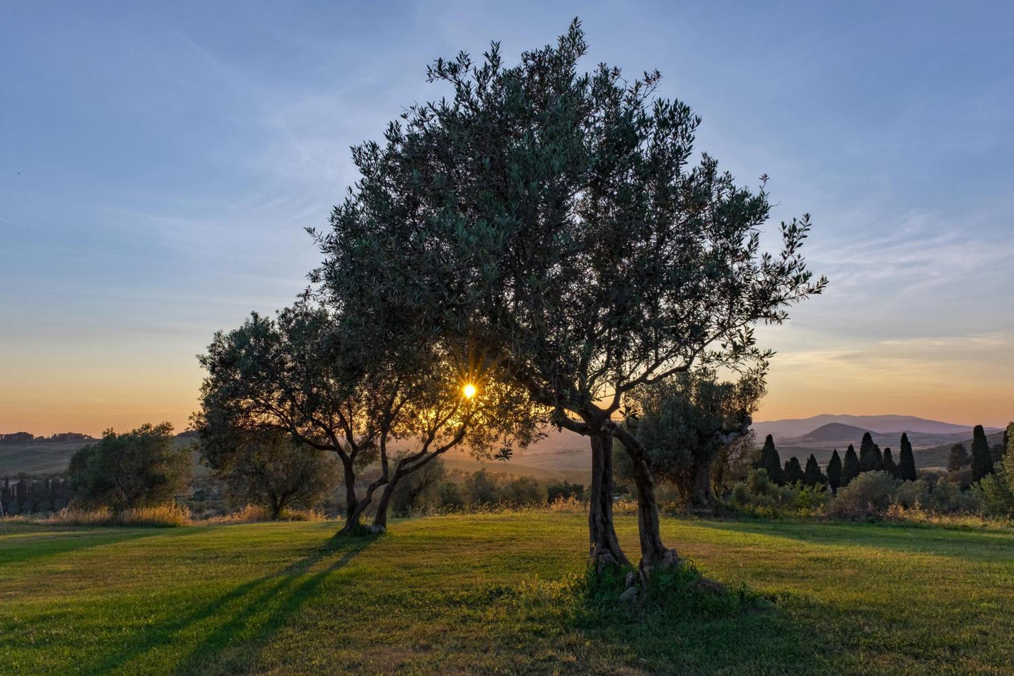 La Marrana - Castello Del Terriccio Villa Castellina Marittima Dış mekan fotoğraf